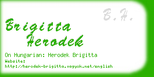 brigitta herodek business card